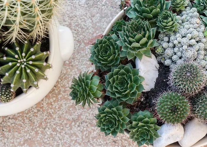 Apartament Marko Makarska