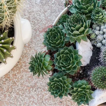 アパート Marko マカルスカ